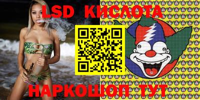 ALPHA PVP Новодвинск